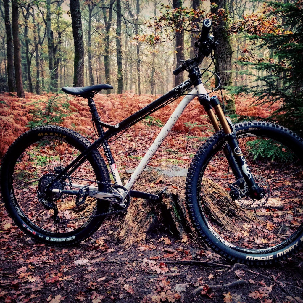 Autumn rides in Dean.