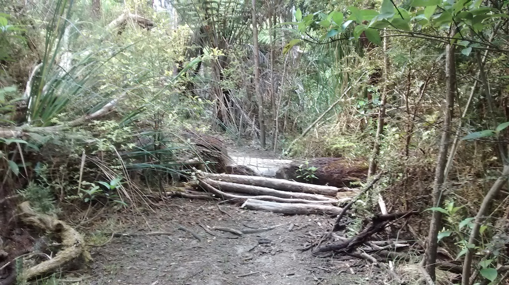 Log ramp