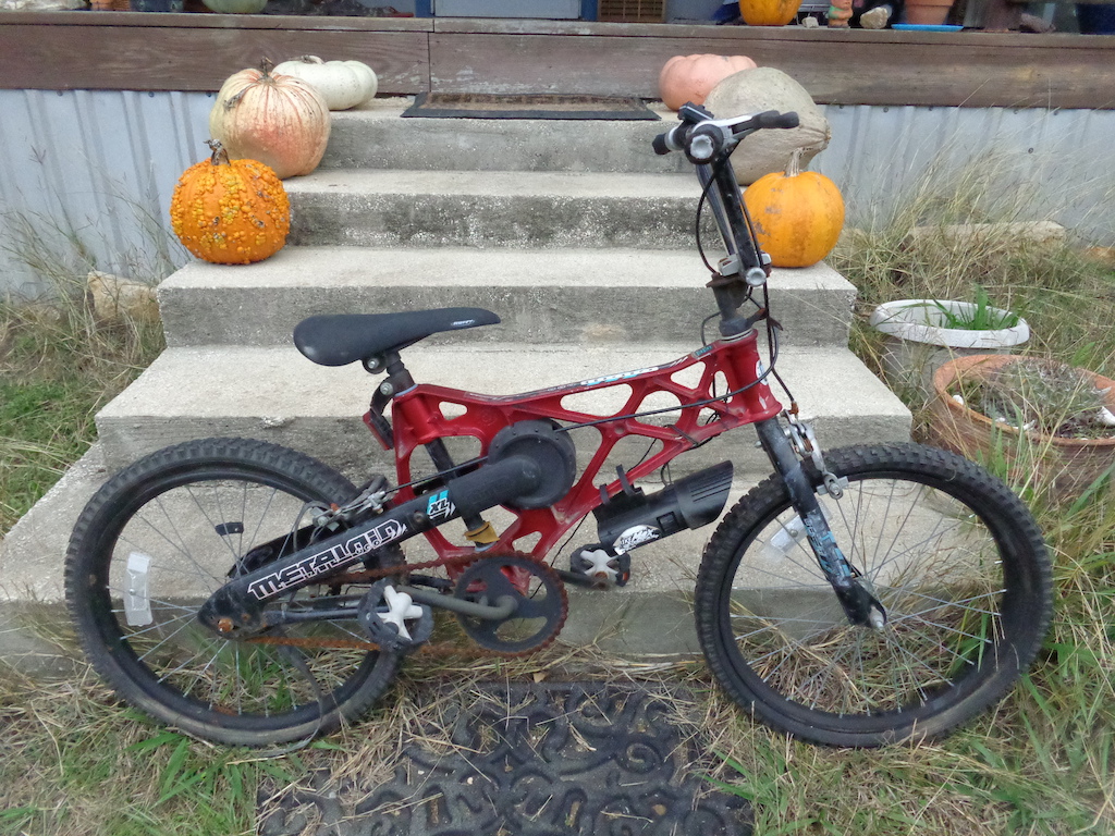 1995 Huffy Metaloid...Rare BMX bike, less than 300 made from what I've read, also made from recycled aluminum cans, I believe...my wife snagged this for me for less than the price of a good cheeseburger.