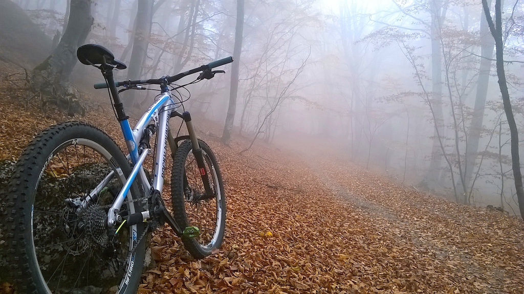 fog riding
