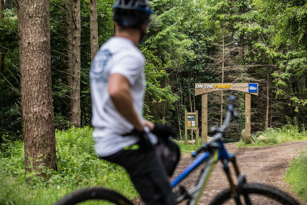 "On The Pulse" is a RAD single trail Downhill trail. Perfect to test your skills on. Parts of the track are used for the Local Downhill races and other events like RedBull Fox Hunt.