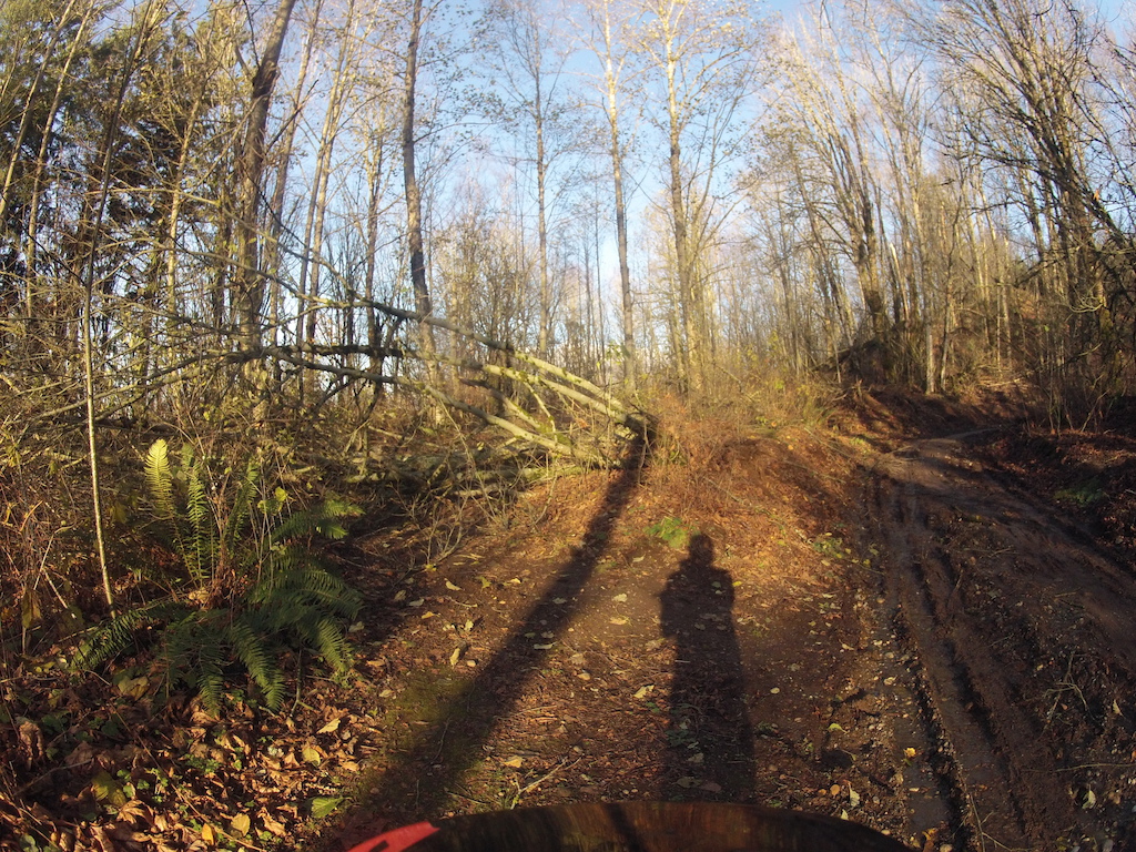Trail Damage on Da Plow Nov 19, 2015