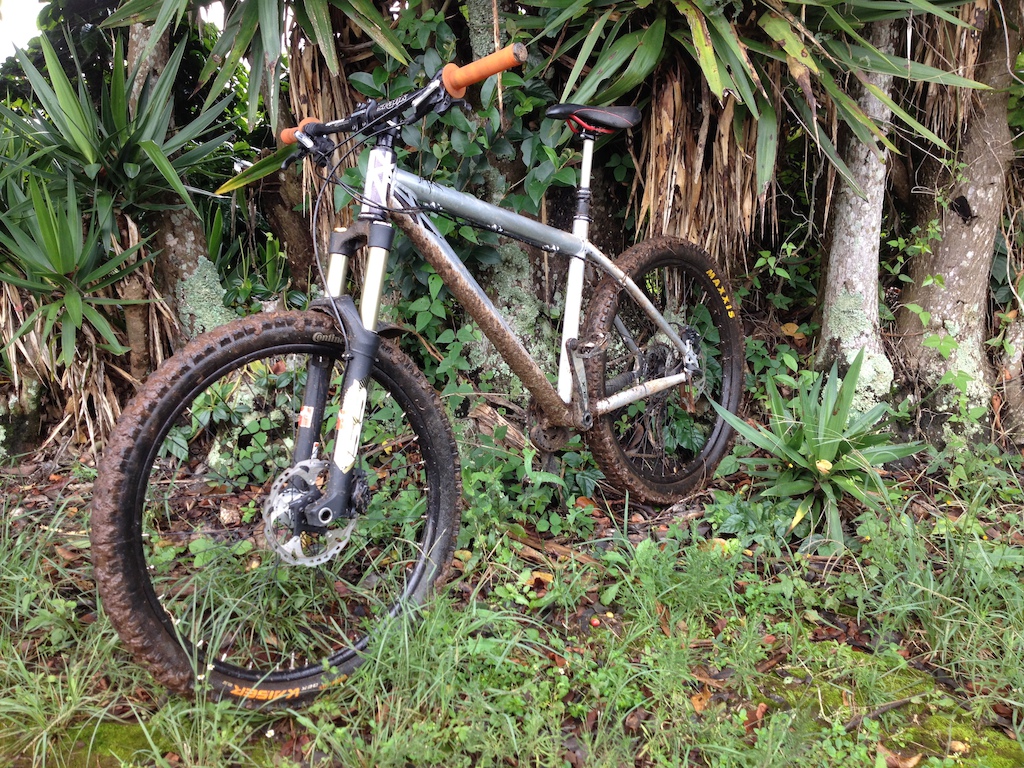 Muddy mud