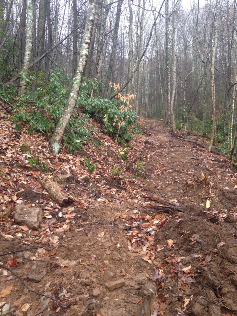 Staire Creek Trail turned to garden mulch