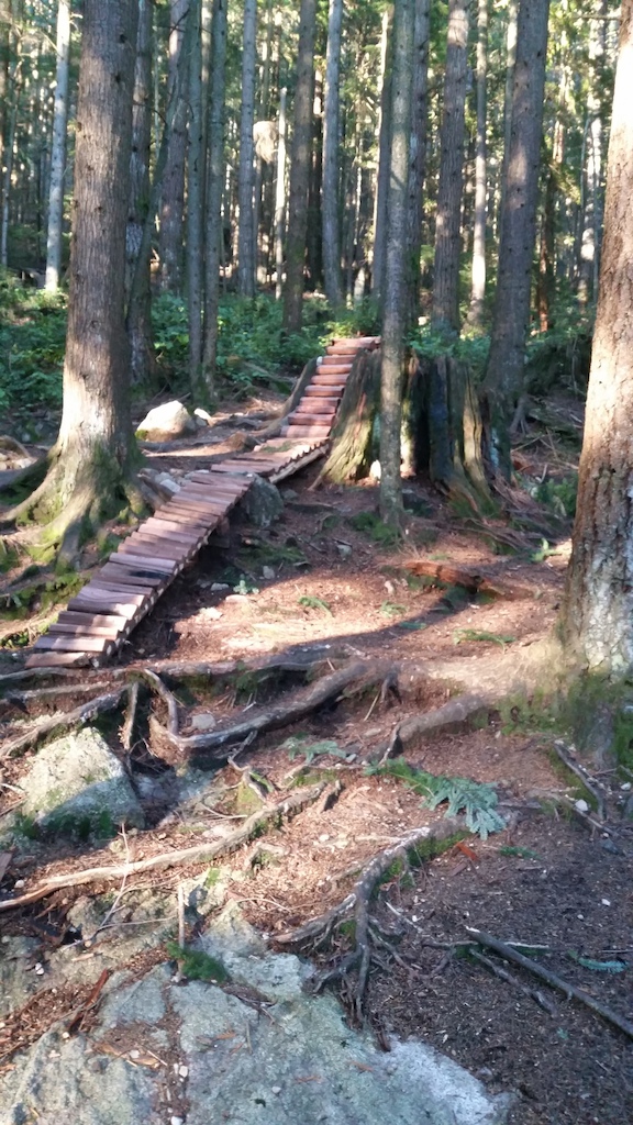 Fromme