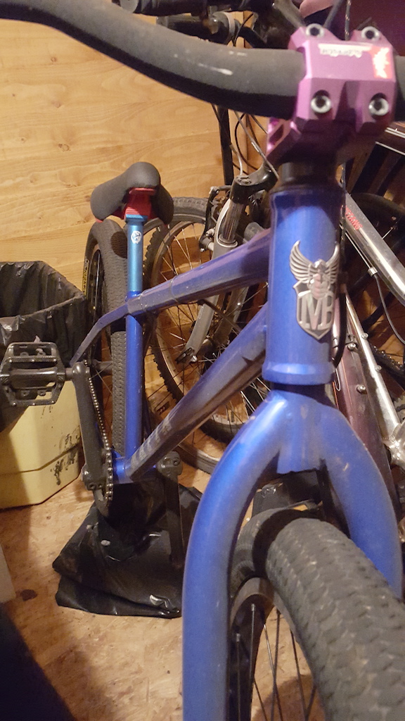 2015 Mafia blackjack