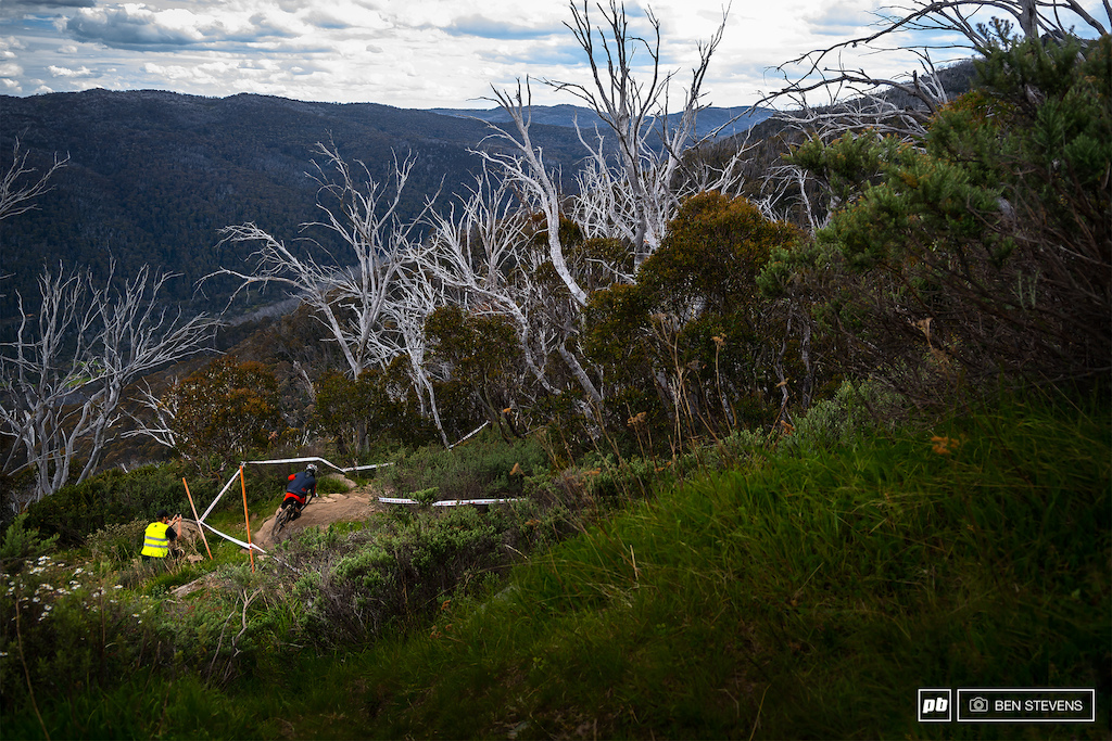 Dead gum trees are a regular feature of Thredbo s landscape the result of severe bush fires.