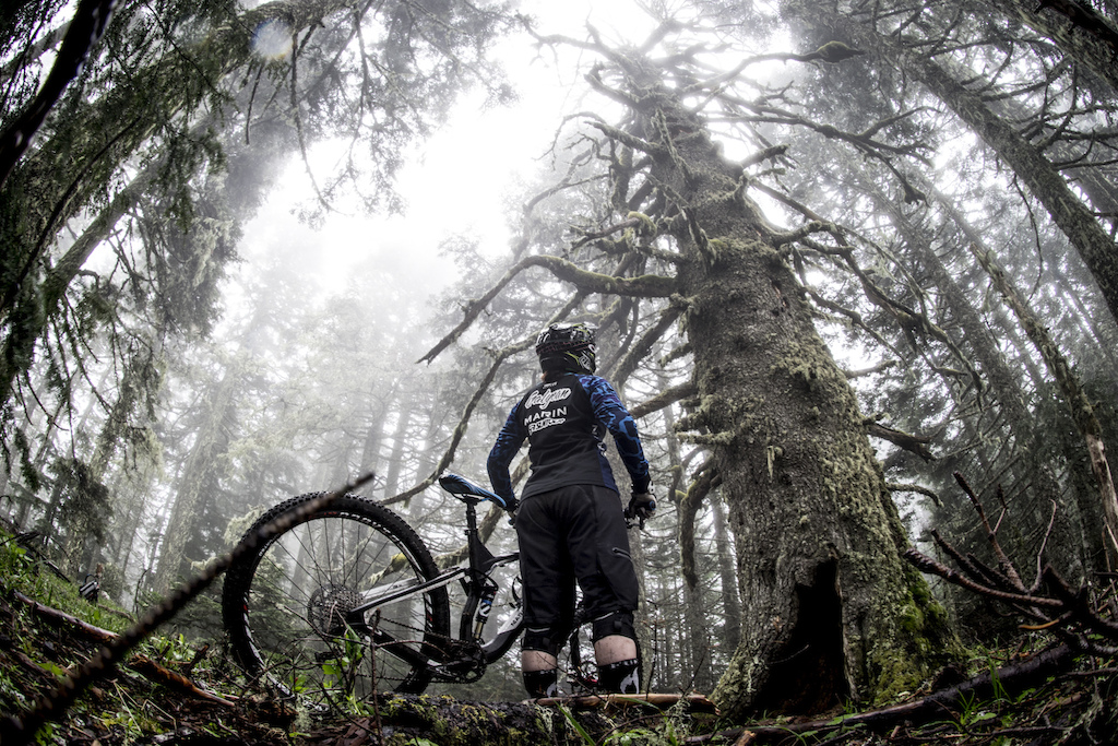 Anne riding amongst giants in Oregon s coastal range.