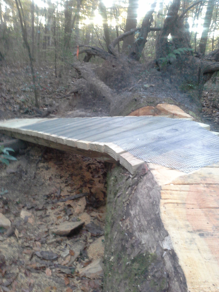 Completed ramp to the top of the log skinny.  View from up on log .