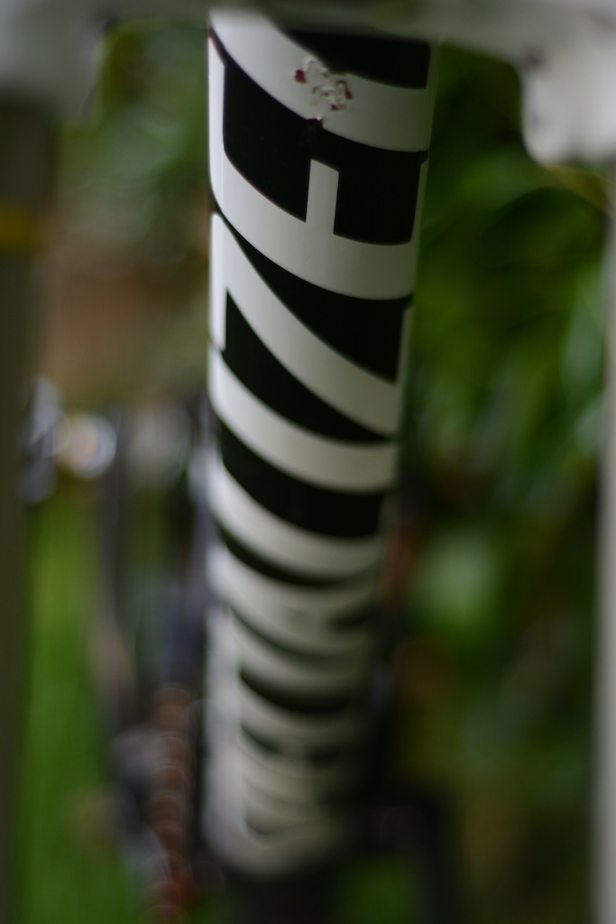 2013 Specialized Status - Medium