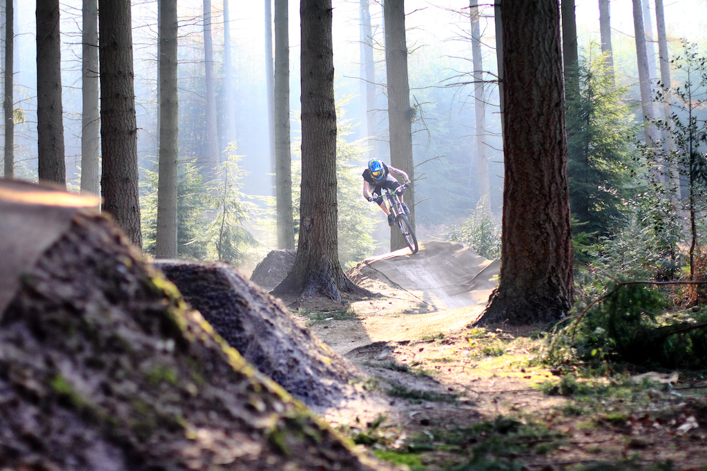 @JunkeeThrottler between the trees of the lower jump section at Rogate DH on a day of perfect natural light