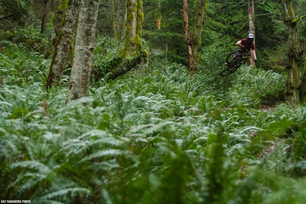 Welcome to the jungle, we've got ferns 'n games. Shooting with Jay Boysen on some trails he built.