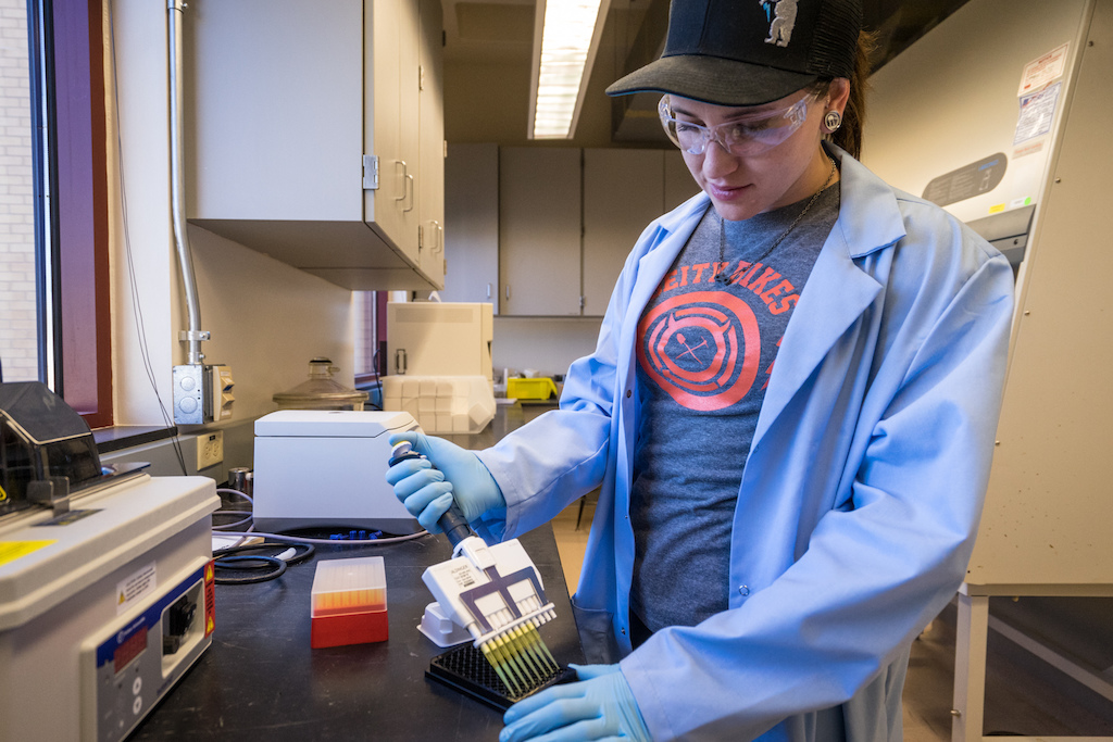 Now we have settled into our new home and new roles in the world. Anne is developing Bio Nano Sensors at the Colorado School of Mines in her Post Doctorate.