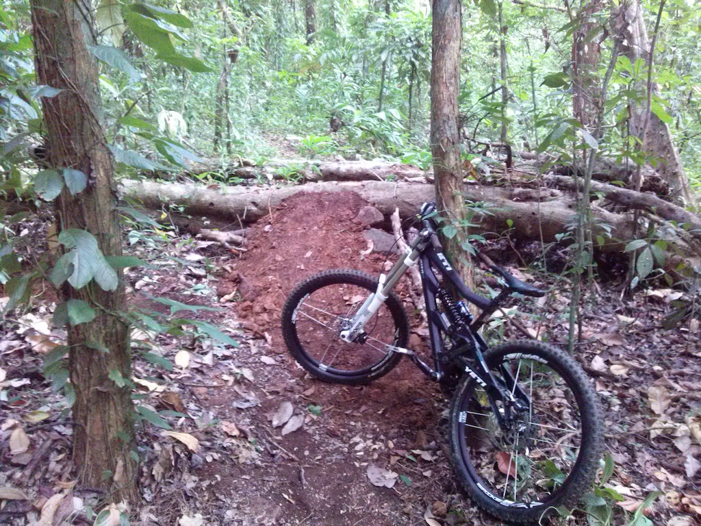 new trail feature....