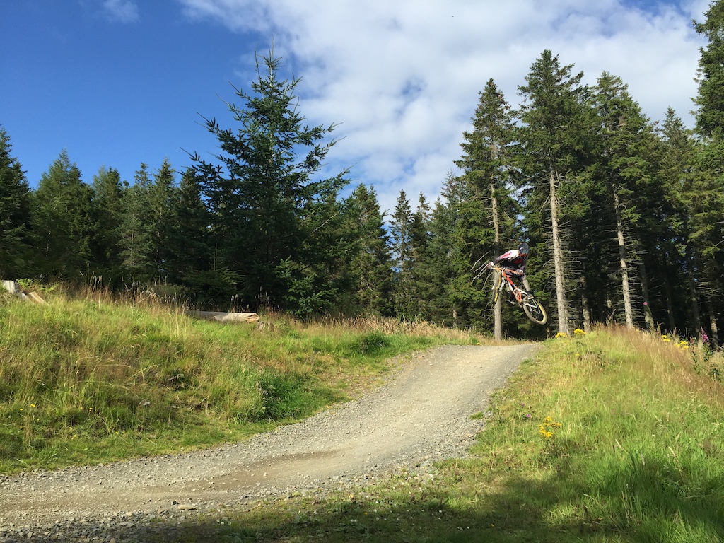 Glentress Summer