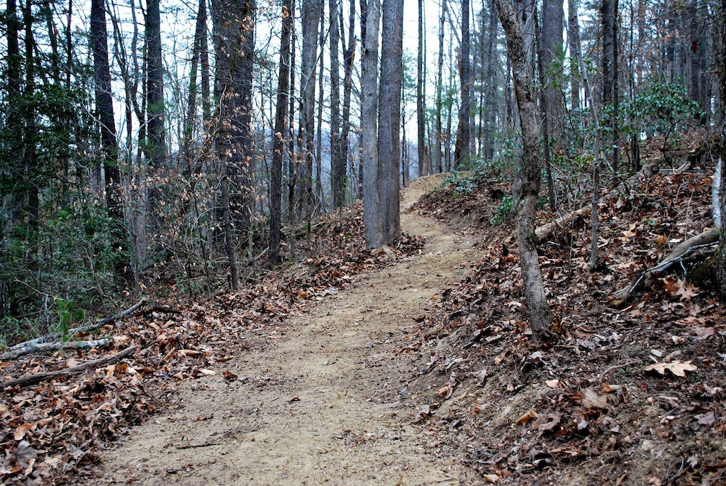 Front Lines with the Northwest NC MTB Alliance