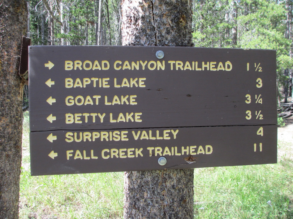 Sign at the junction of White Mountains Trail and Broad Canyon Trail.