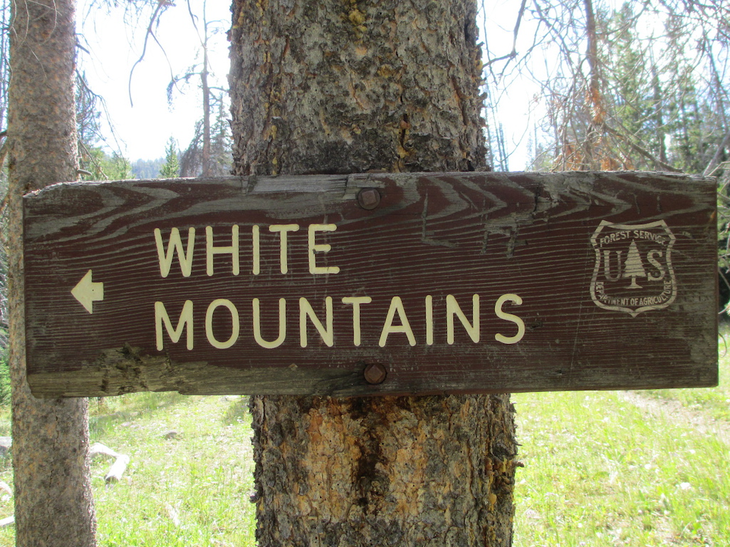 Sign at the junction of White Mountains Trail and Broad Canyon Trail.