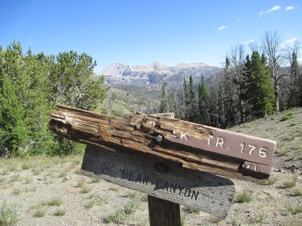 Trail sign at junction of South Fork Bear Canyon Trail and Skyline Trail.