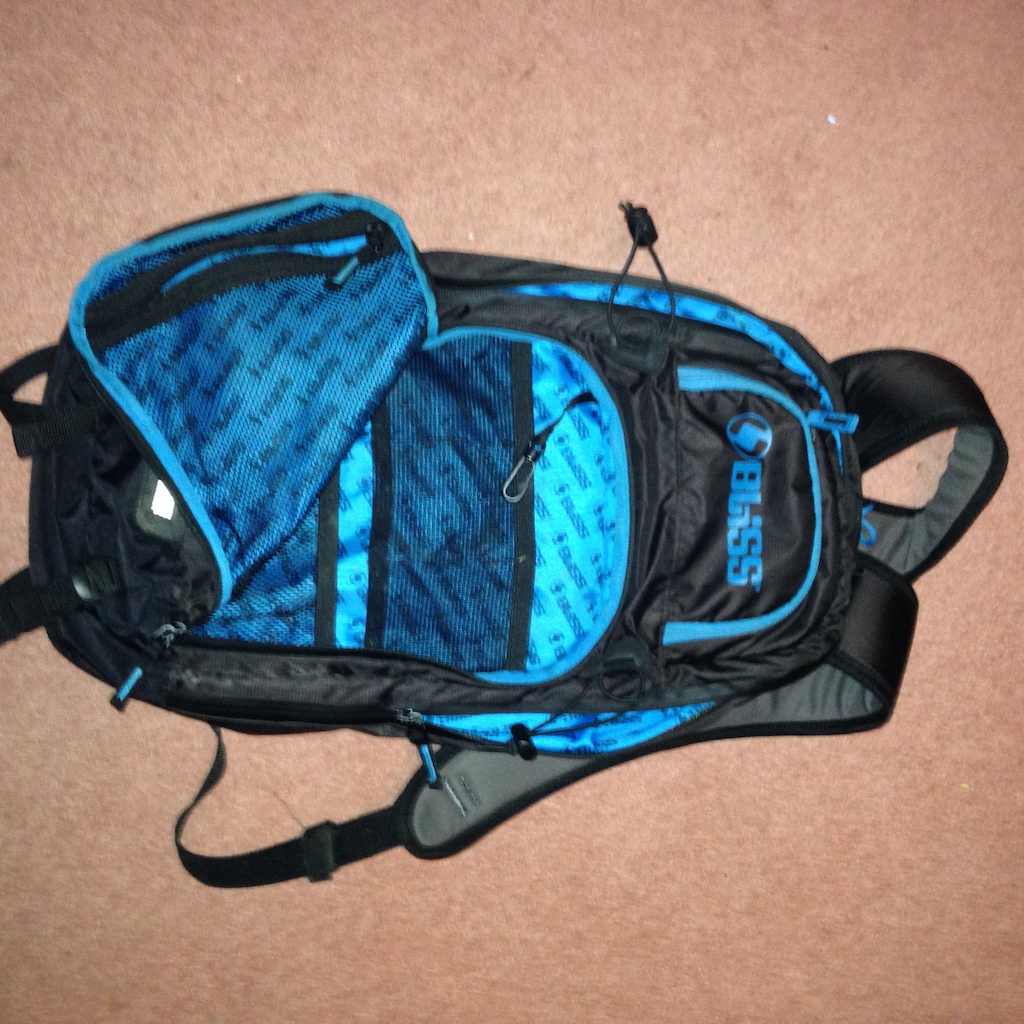 2015 Bliss Backpack