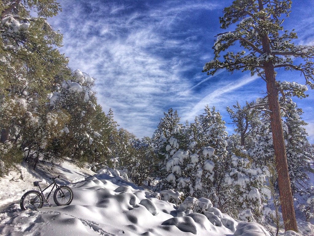 Riding Fatbikes in the snow on Cougar Crest Trail on Jan 11 2016