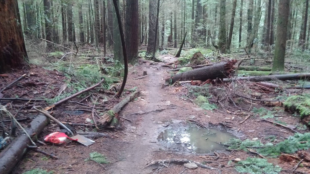 Cbuster Trail work