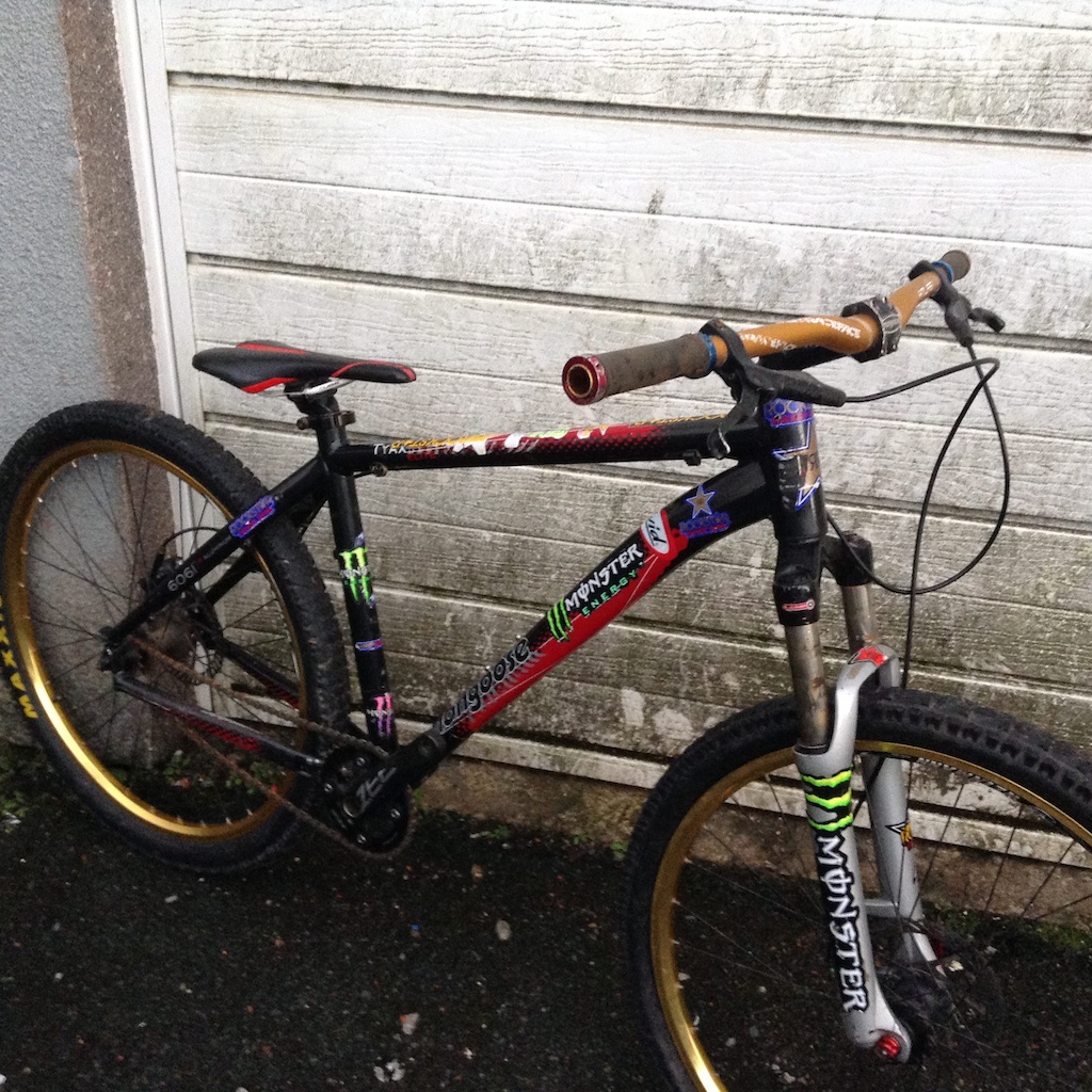 mongoose tyax comp 2019