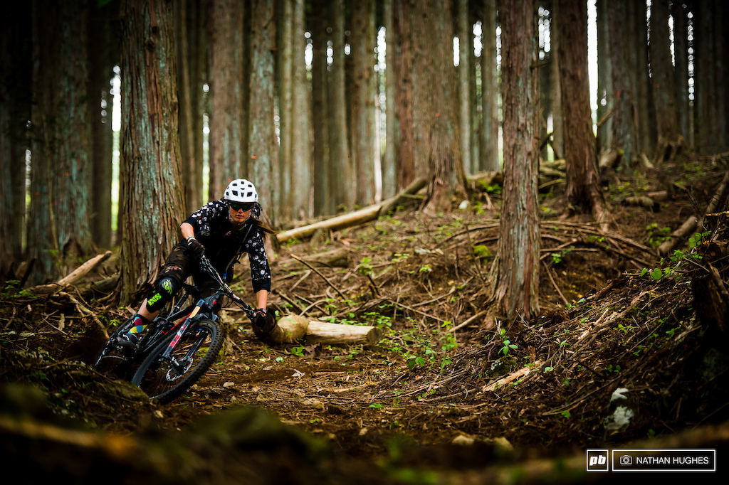 Steffi full gas through the tightly-packed Japanese pine trees.