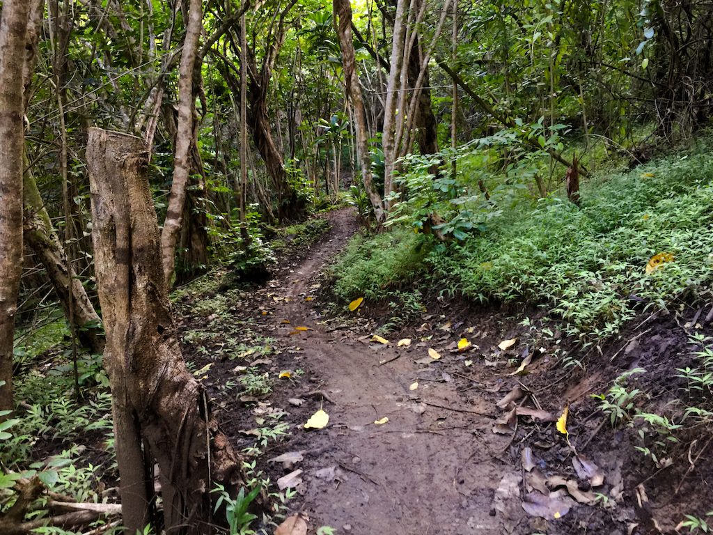 Ohana Trail in Kailua on Oahu.