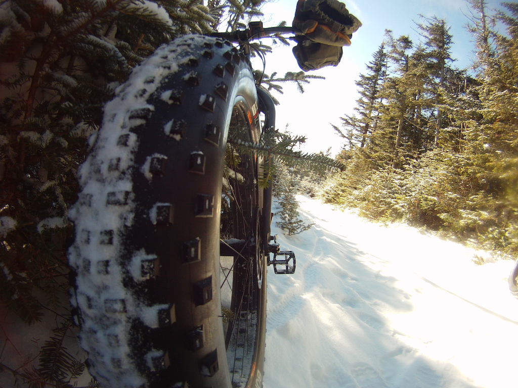 on the way up the moose