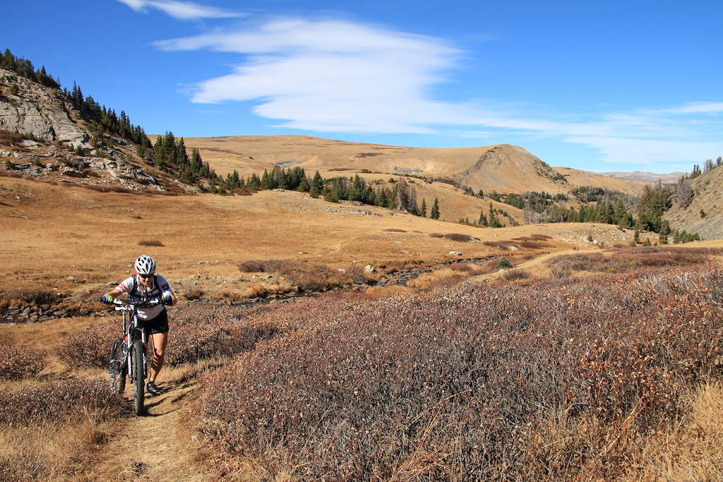 A short hike-a-bike onto Line Creek Trail, about a mile in from the trailhead on the Beartooth Highway