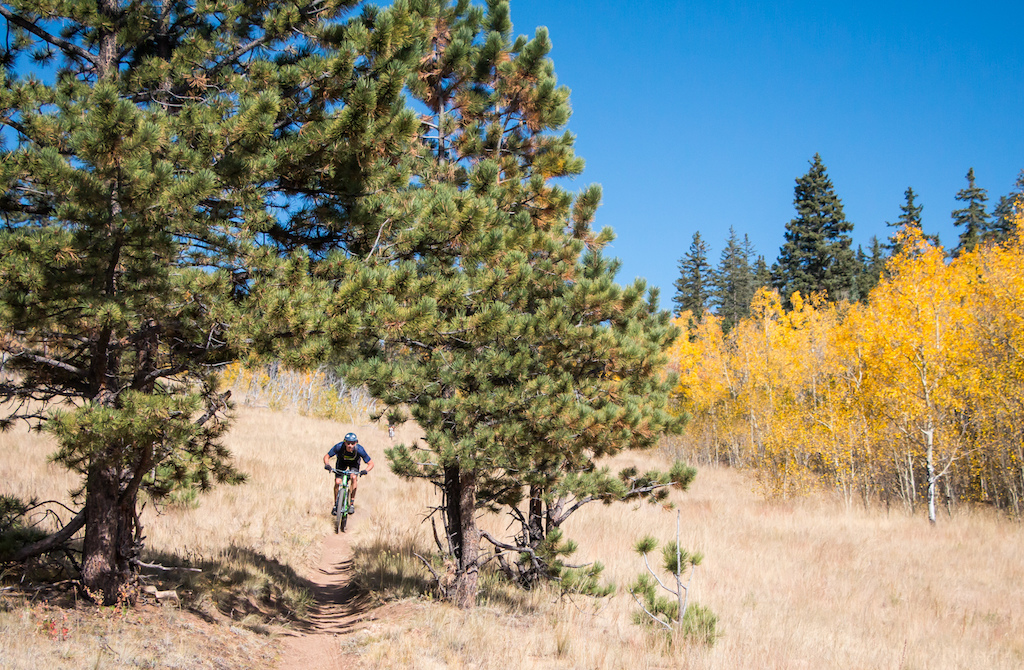 Ripping a killer descent on the Colorado Trail in the fall.