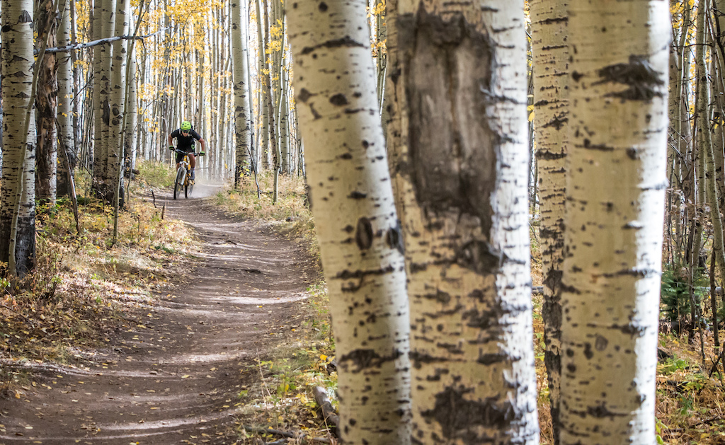 It doesn't get much better than riding the Colorado Trail in the fall with the aspens turning gold.