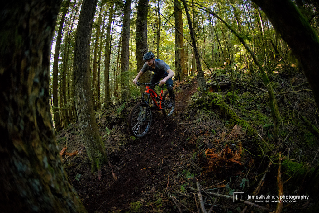 vedder mountain bike company