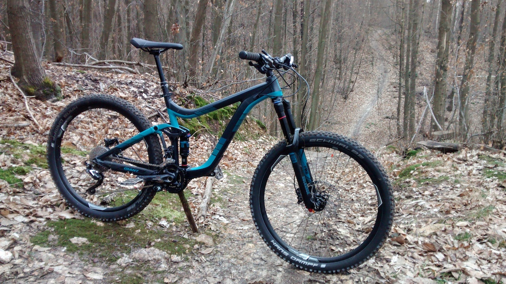 giant reign 2 ltd 2015