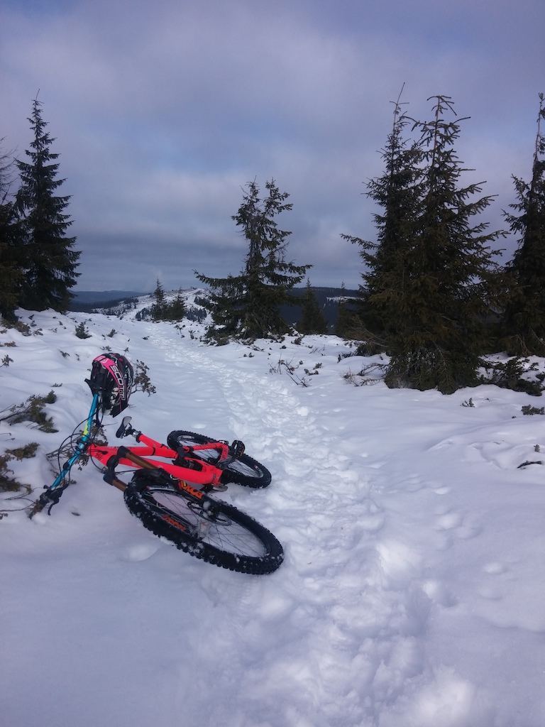 Looking for some new trails through the snow...