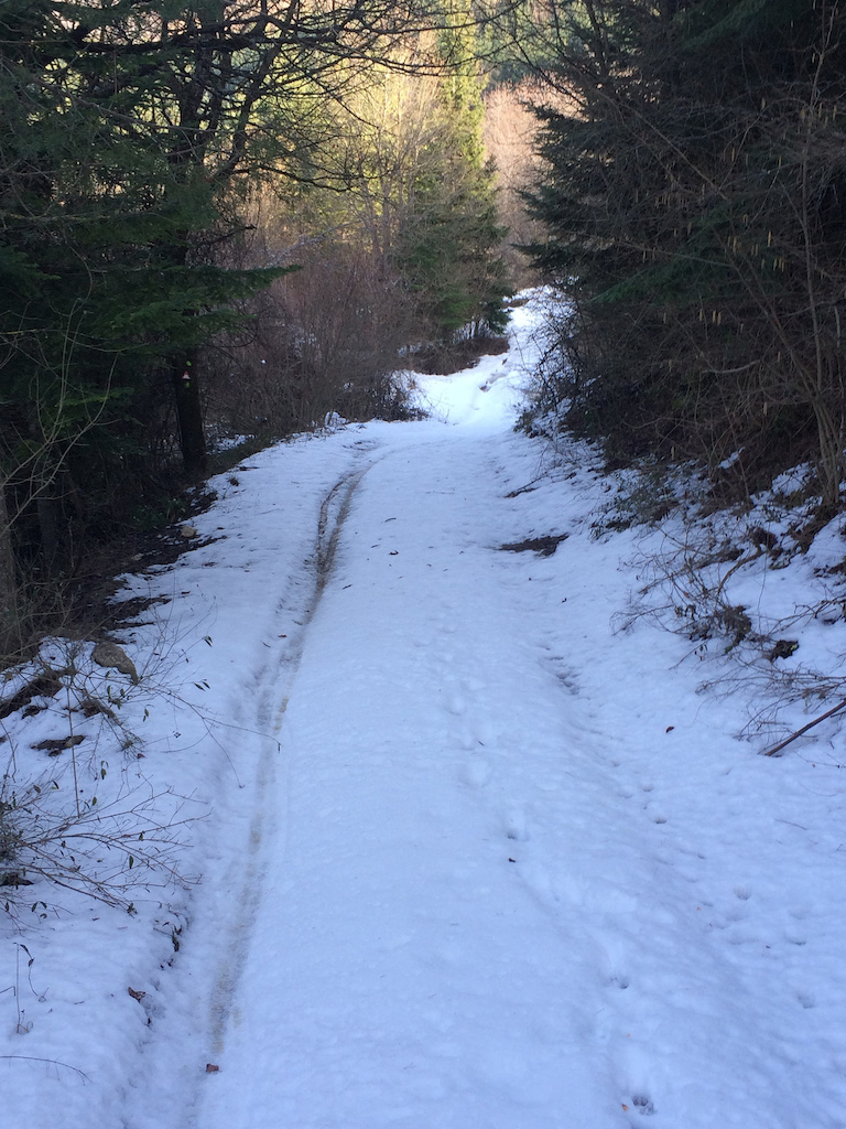 Neve sul sentiero Alpicella trail