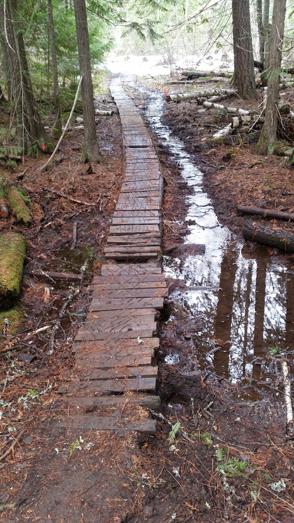 The old troll bridge prior to spring 2015!