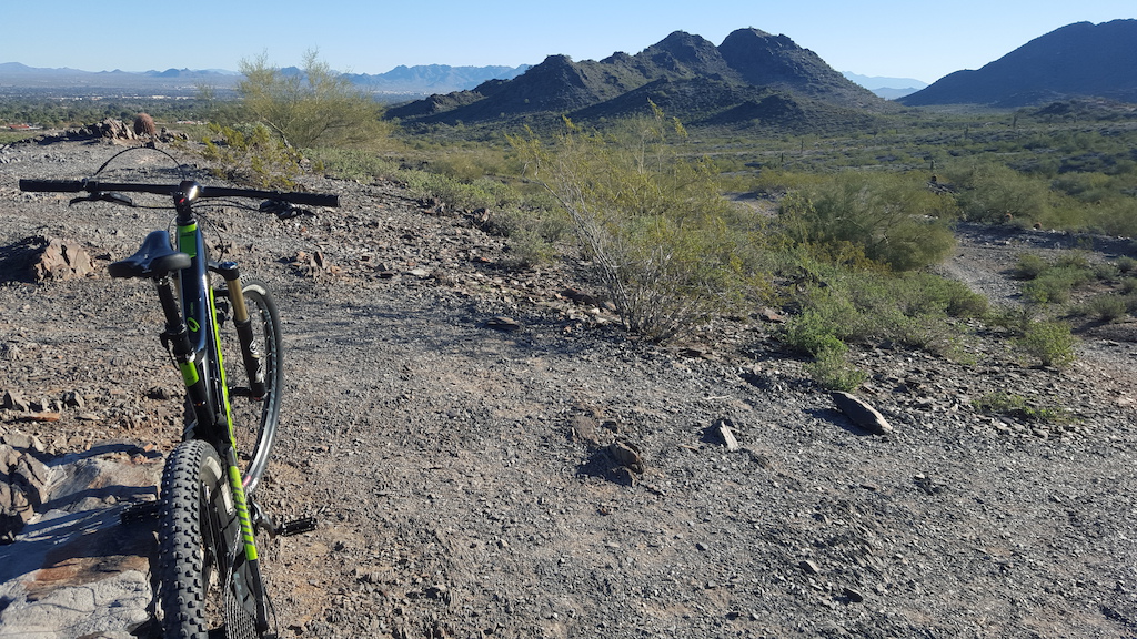 Trail 100