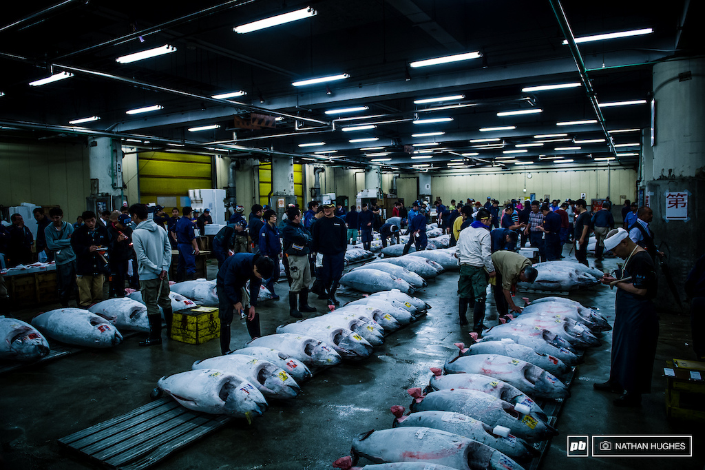 5:00am at the harbour in Tokyo and just in time for the auction of some gigantic torpedos of frozen tuna.