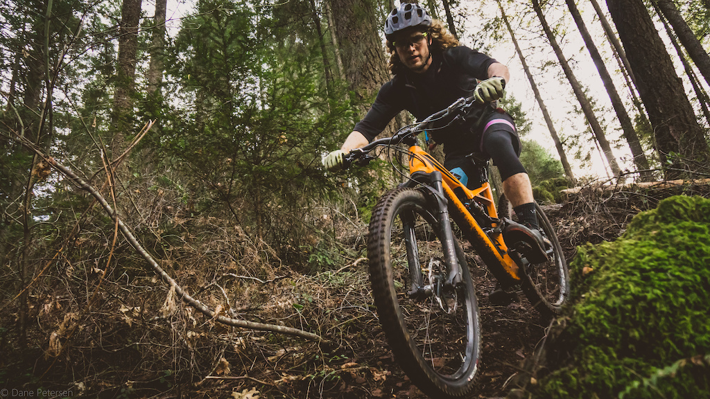 Loam Zone