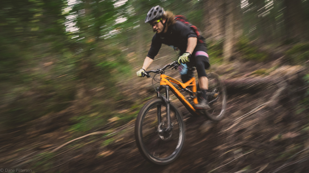 Loam Zone