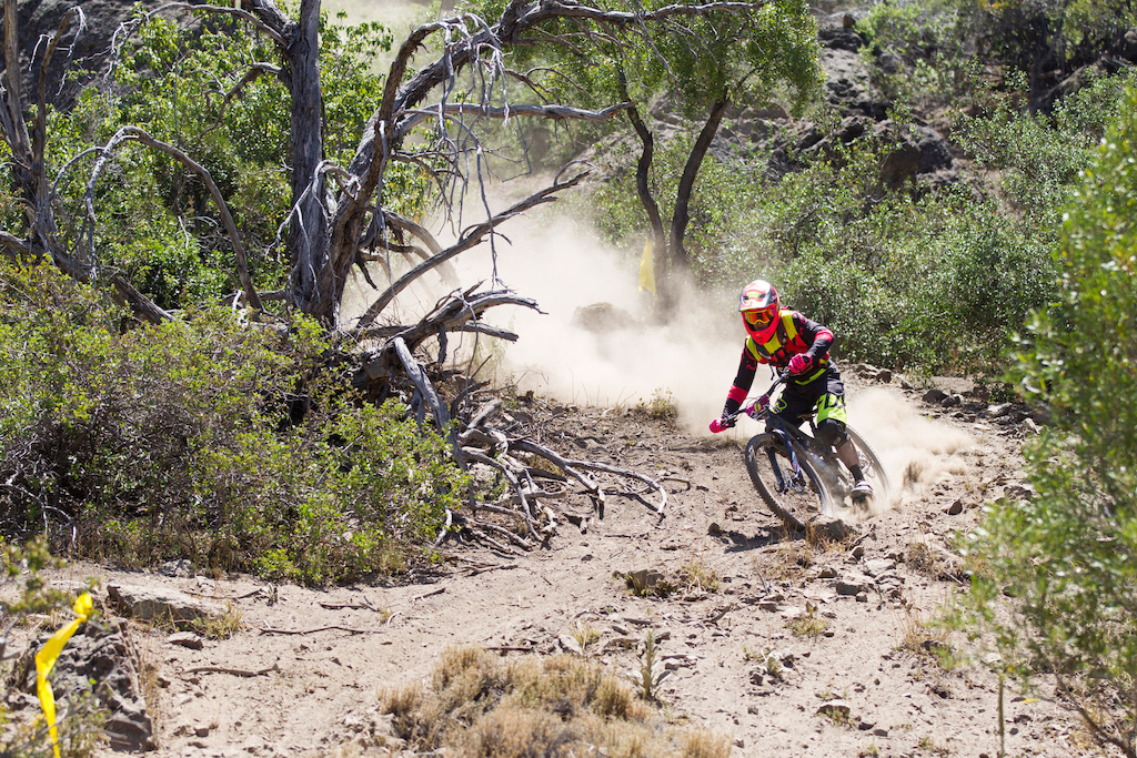 Mark Scott - Photo Gary Perkin