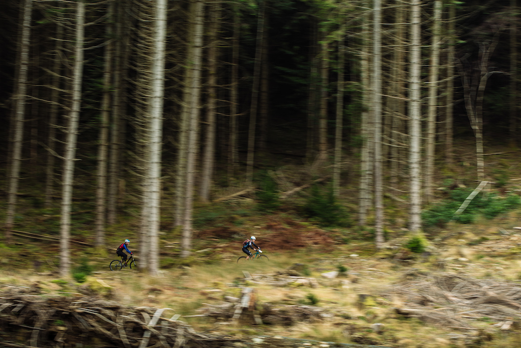 A brief moment outside the dense forest of Coed y Brenin.