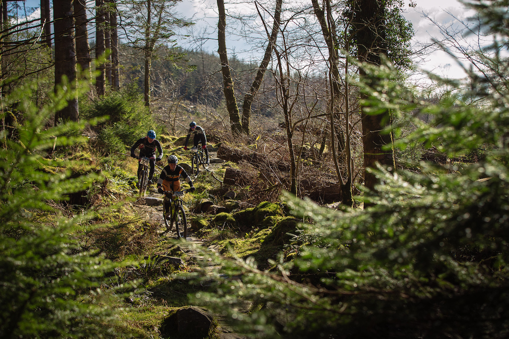 Beautiful forest glorious weather fantastic trails and riding with your mates.