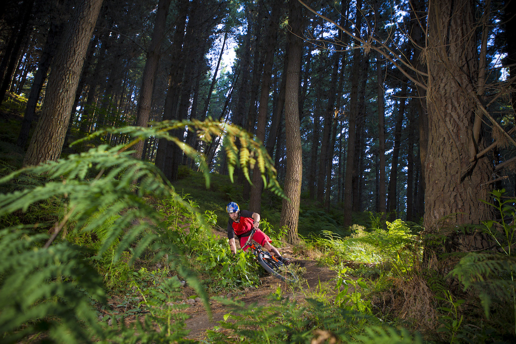 Brook Macdonald rides in his local Pan Pac Eskdale Mountain Bike Park, Napier, New Zealand.
