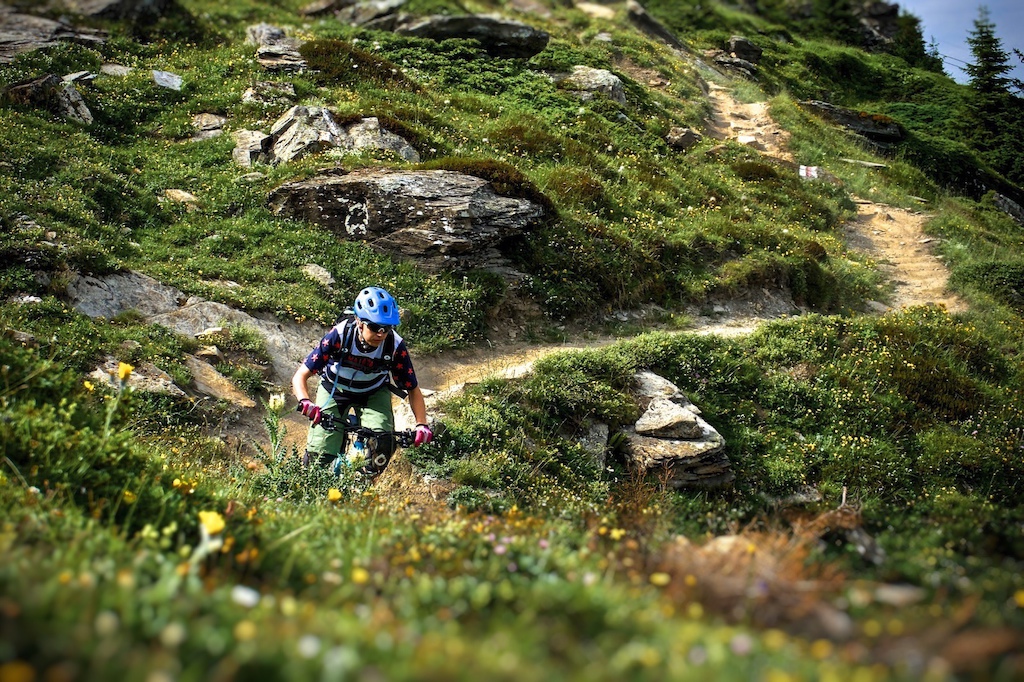 beauty of the swiss alps - awesome trail surrounded by colorful alp flowers - photo made by Armin Wurmser