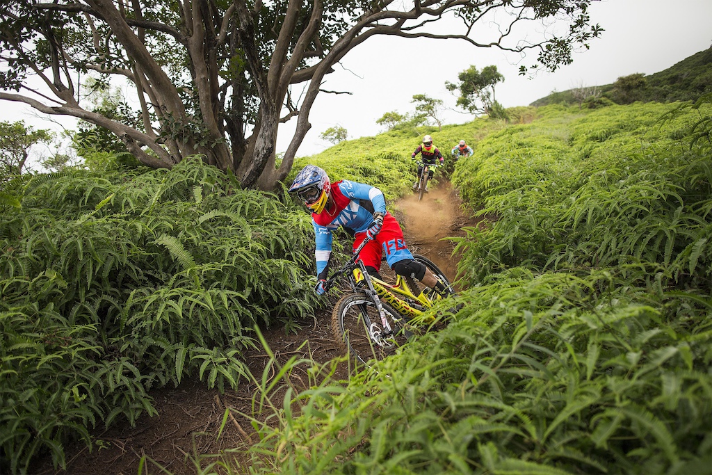 Stevie Smith, Mark Wallace and Connor Fearon in Maui, Hawaii, USA