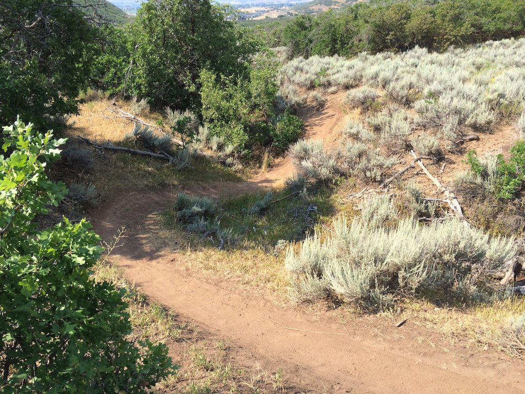 This picture is of the first two turns of the Lower Barrel trail. The first half of the trail is just like this picture with back to back natural berms up the sides of what resembles the dip of a creek bed.