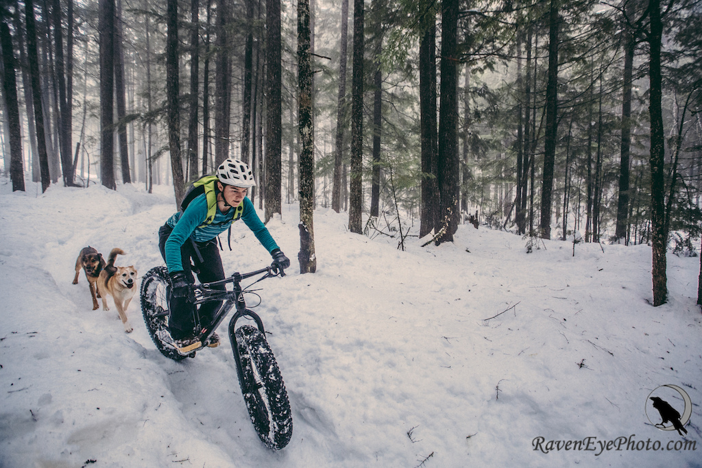 Images by Raven Eye for the article - Fat Biking in Revelstoke and Fernie B.C.